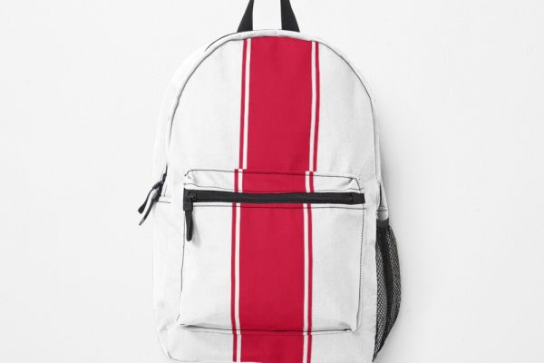 ur,backpack_front,square,1000x1000-7