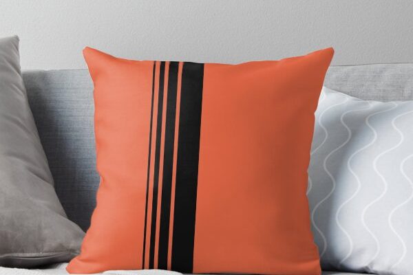 ur,throw_pillow_couch_small,square,600x600